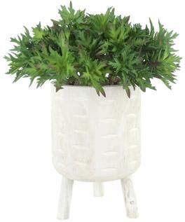 Creative Labs Succulents Arranged in Wooden Planter with Legs