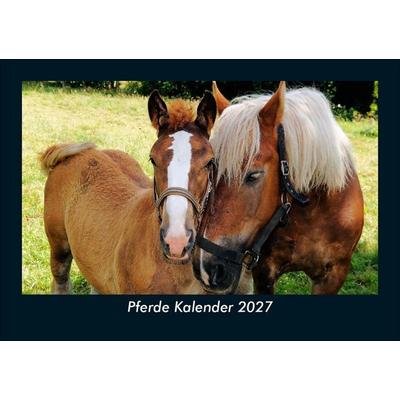 Pferde Kalender 2027 Fotokalender DIN A5