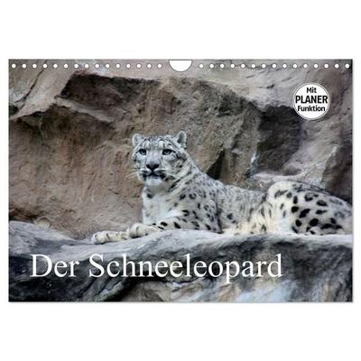 Der Schneeleopard (Wandkalender 2027 DIN A4 quer), CALVENDO Monatskalender
