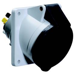 Bals Elektrotechnik 12883 12883 CEE Anbaudose 32.0 A 4polig 500 V 1 St.