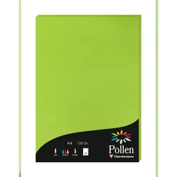 Pollen 10x Papier A4 Pollen 120g 50 Blatt - Minze 4215C