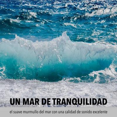 Un mar de tranquilidad: el suave murmullo del mar con una calidad de sonido excelente - Robert van Dyck, Audio, 4057664497550