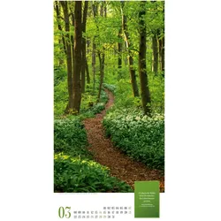 Ackermann, Kalender, Mythos Wald Literatur-Kalender 2027 (Hochformat)