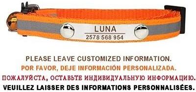 Uplift Essentials Custom Reflective Adjustable Safety Cat Collar orange