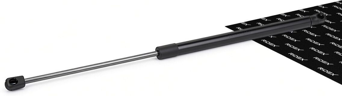 RIDEX 219G0073 Tailgate strut