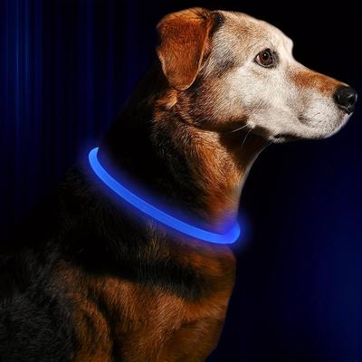 Discount Dollar Deals USB Rechargeable LED Dog Collar For Night Safety And Visibility blue s