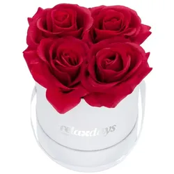 Relaxdays Weiße Rosenbox rund 4 Rosen Weiß,Rot