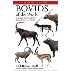 Colin Groves, Sachbücher von Brent Huffman, José R. Castelló, Colin Groves