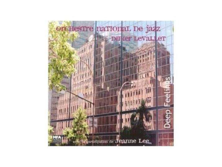Orchestre National De Jazz 2000 - Deep Feeling - Didierlevallet