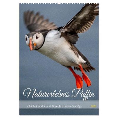 Naturerlebnis Puffin (Wandkalender 2026 DIN A2 hoch), CALVENDO Monatskalender