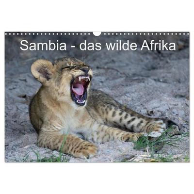 Sambia - das wilde Afrika (Wandkalender 2027 DIN A3 quer), CALVENDO Monatskalender