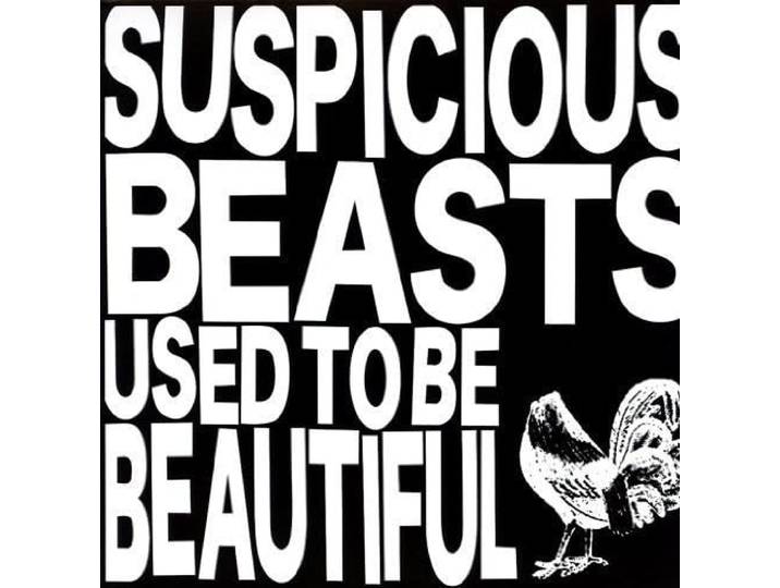 Used to Be Beautiful