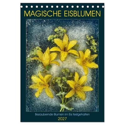 Magische Eisblumen (Tischkalender 2027 DIN A5 hoch), CALVENDO Monatskalender