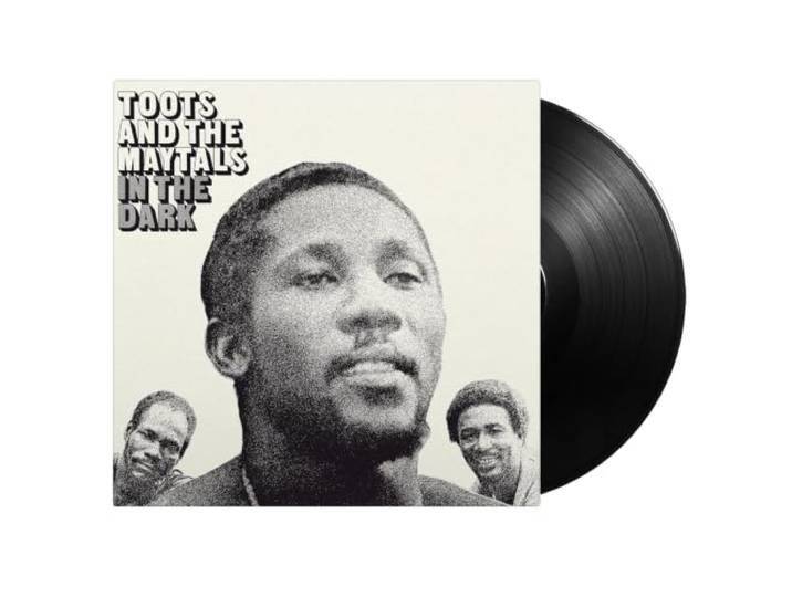 In The Dark - Toots & The Maytals - Reggae vinyl - 180 gram vinyl - Toots and the Maytals - Reggae album