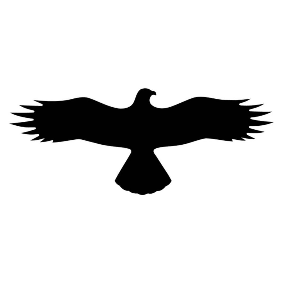 SafetyMarking Hinweisschild Symbol Bussard36. (21.5874)