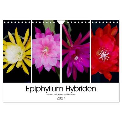 Epiphyllum-Hybriden (Wandkalender 2027 DIN A4 quer), CALVENDO Monatskalender