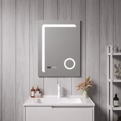 LED-Badspiegel Chambave 60x80 cm Silberfarben [pro.tec]
