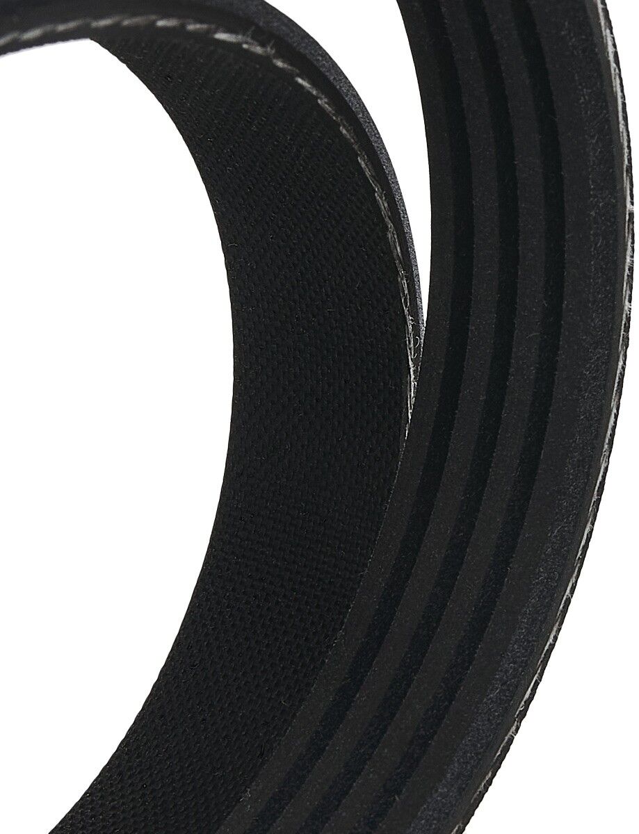 RIDEX 305P0612 Multiriem