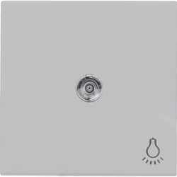 Kopp 490445000 HK07 - Flächenwippe mit Linse und Symbol ”Licht”, Farbe: grau matt