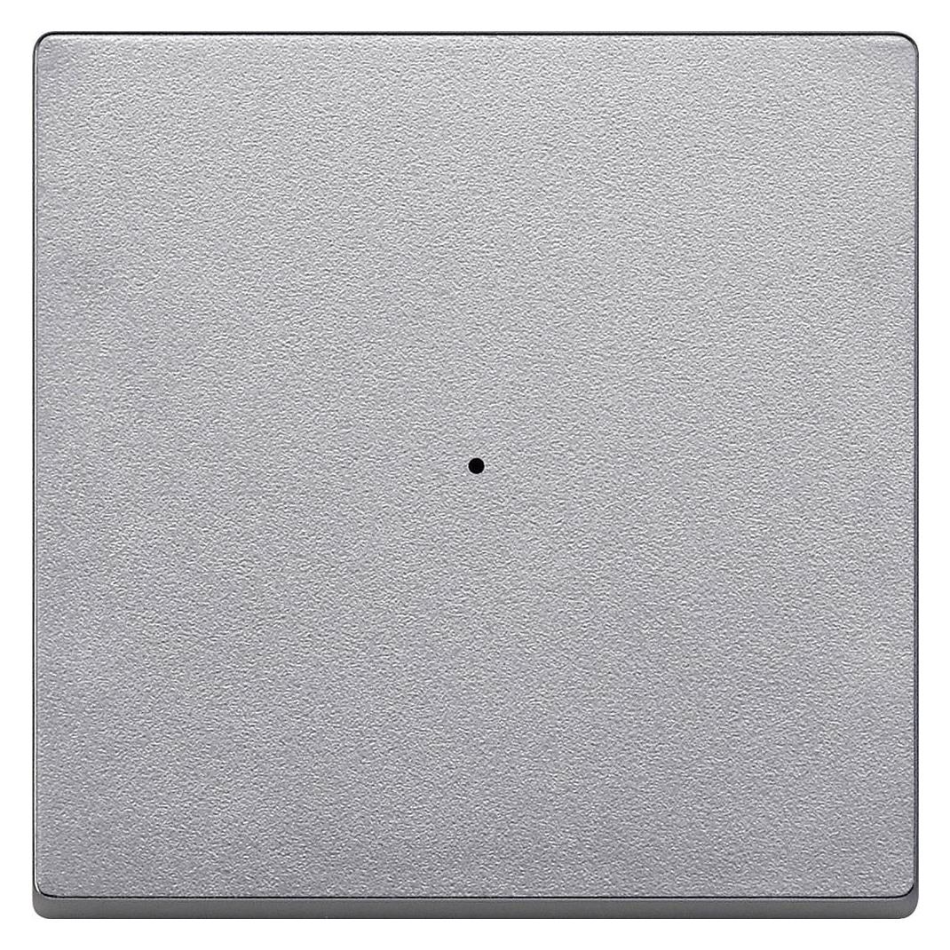Merten Wippe für Tastermodul 1fach, aluminium, 625160 (625160)