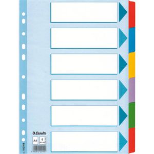 Esselte 100168 Mylar Register, A4, blanko, 6-teilig, weiß mit farbigen Taben