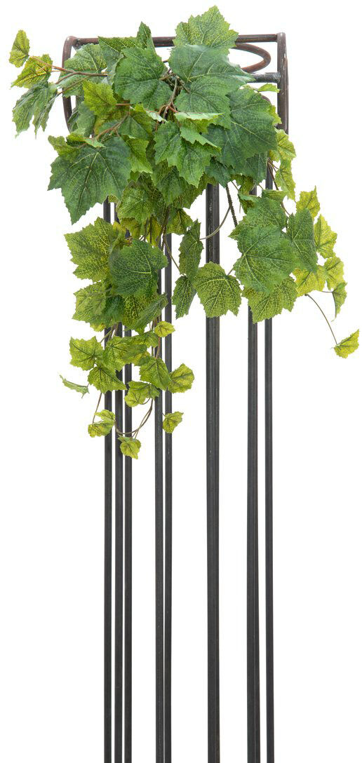 Europalms Weinbuschranke Premium, 50cm