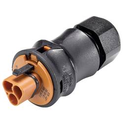 Wieland Electric 96.022.4151.4 Steckverbinder