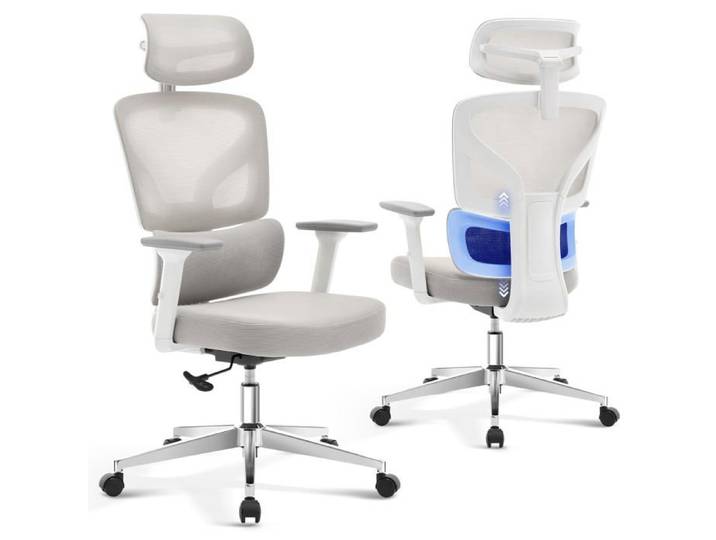 Chaise de bureau ergonomique - LUNSY - Rembourrage moelleux - Soutien lombaire intégré - Maille respirante