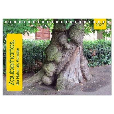 Zauberhaftes, die Natur als Künstler (Tischkalender 2027 DIN A5 quer), CALVENDO Monatskalender