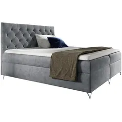 BOXBETT Ambre In Fresh