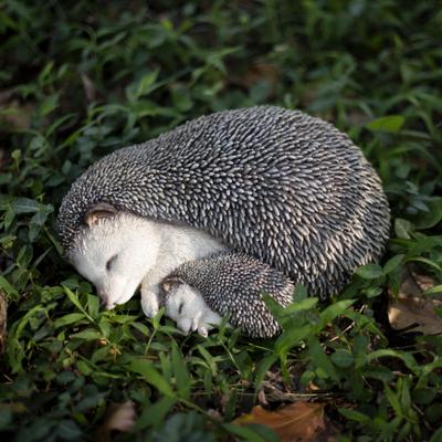 Hi-Line SoReal Off-white Sleeping Mother Baby Hedgehog Decorative Figurine for Home & Office Décor, Handcrafted Resin Statue