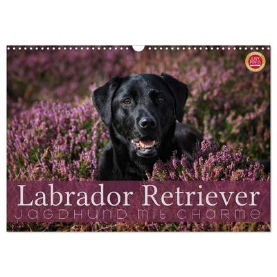 Labrador Retriever - Jagdhund mit Charme (Wandkalender 2027 DIN A3 quer), CALVENDO Monatskalender
