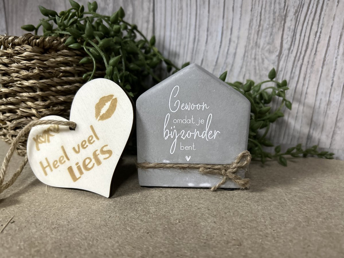 Creaties van Hier Cement House met houten hartje - 8 cm