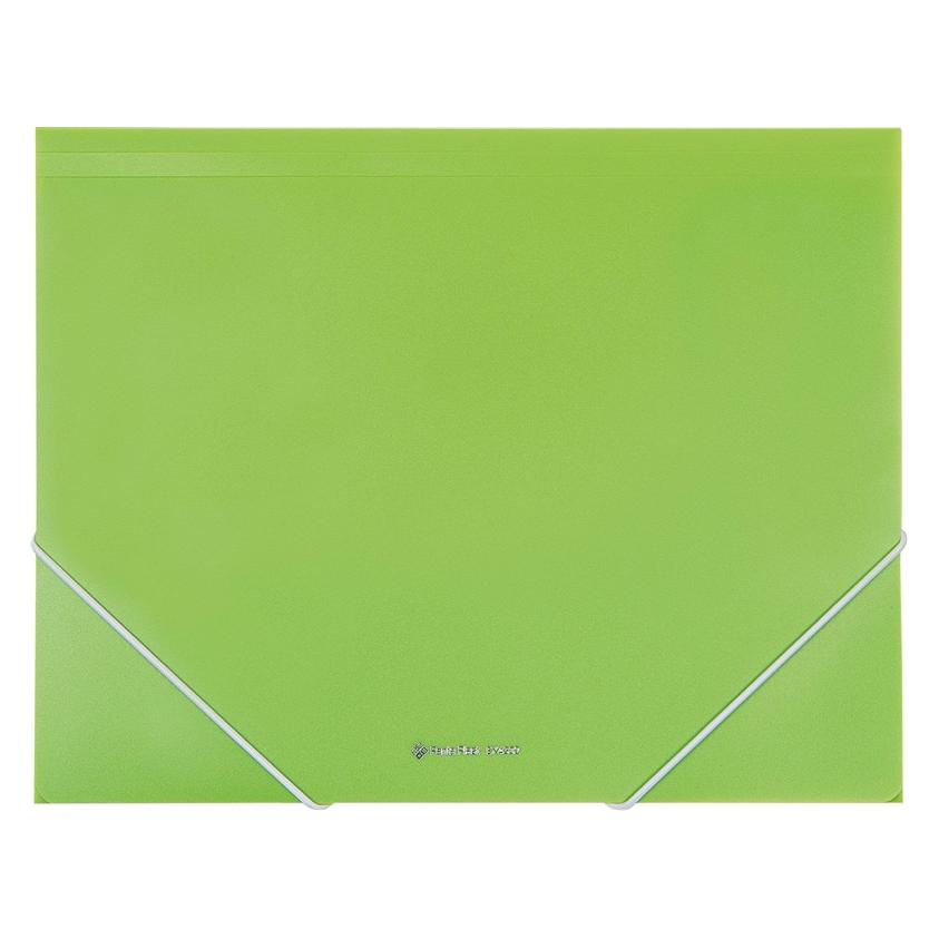 Panta Plast DOCUMENT CASE A4 EX4302 GREEN (A4, 1x) (54034828)
