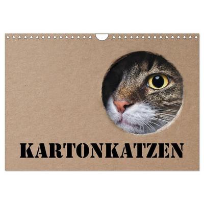 Karton Katzen (Wandkalender 2026 DIN A4 quer), CALVENDO Monatskalender