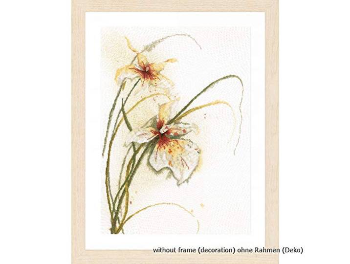 Lanarte PN-0008014 kruissteekset Orchidee, telpatroon telpatroon, katoen, meerkleurig, ca. 50 x 60 cm / 20 x 24