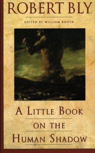 Robert Bly - A Little Book on the Human Shadow - Preis vom 13.10.2026 19:28:25 h