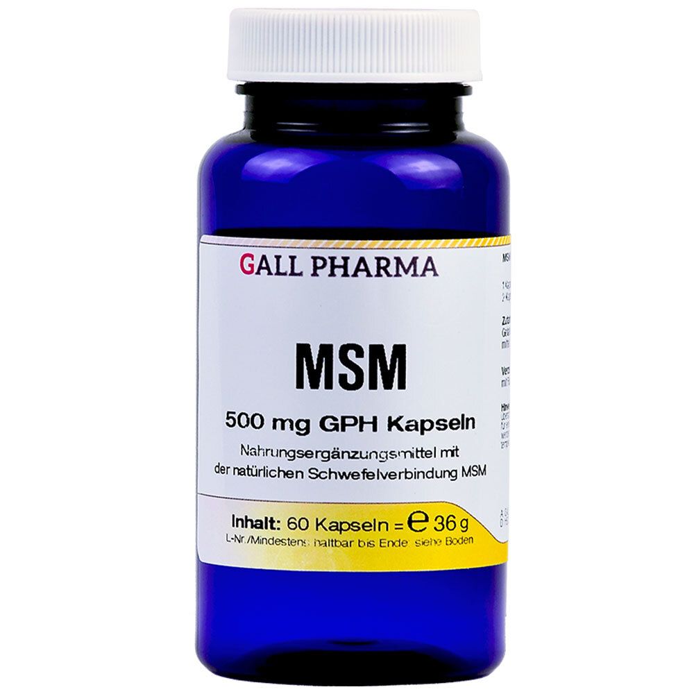MSM 500 mg GPH Kapseln 60 St