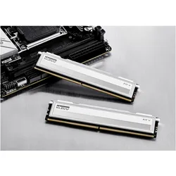 Klevv KD5AGU880-56K300Q (1 x 16GB, 5600 MHz, DDR5-RAM, DIMM), RAM, Weiss