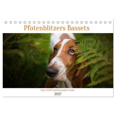 Der Basset, eine LANGE und besondere Liebe (Tischkalender 2027 DIN A5 quer), CALVENDO Monatskalender