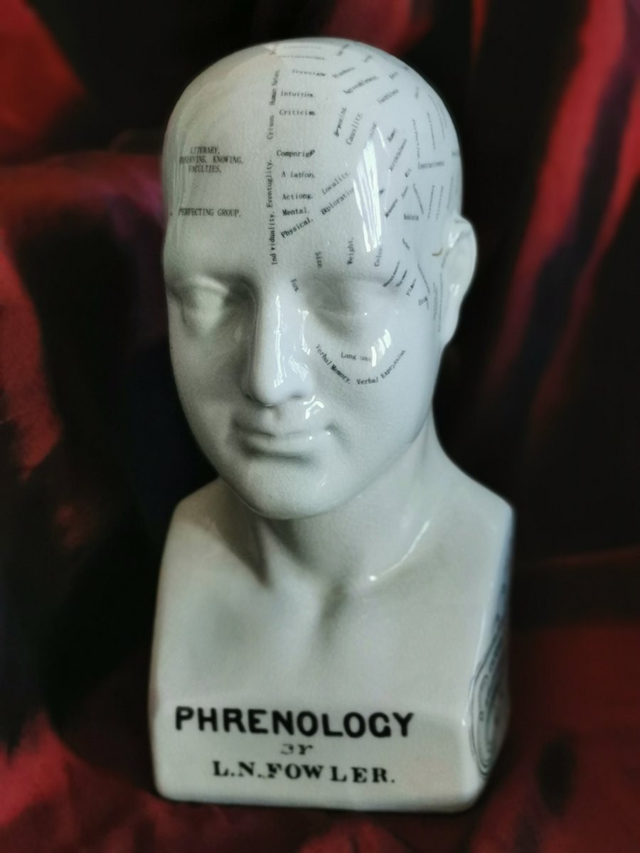 Authentic Models Phrenology Keramiek Hoofd voor op tafel, H x B x D: 23 x 11 x 9 cm
