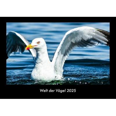 Welt der Vögel 2025 Fotokalender DIN A3