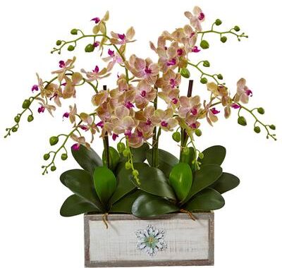 Nearly Natural Phalaenopsis Orchid Arrangement in Decorative Wood Vase