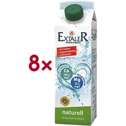 Extaler Mineralwasser »Mineralquell naturell« 8 Tetrapacks je 1 Liter braun