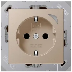 Jung SCHUKO Steckdose BT A 1521 SE CH BTA1521SECH