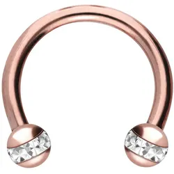 Chirurgenstahl Hufeisenring EPOXY-RING-KUGELN