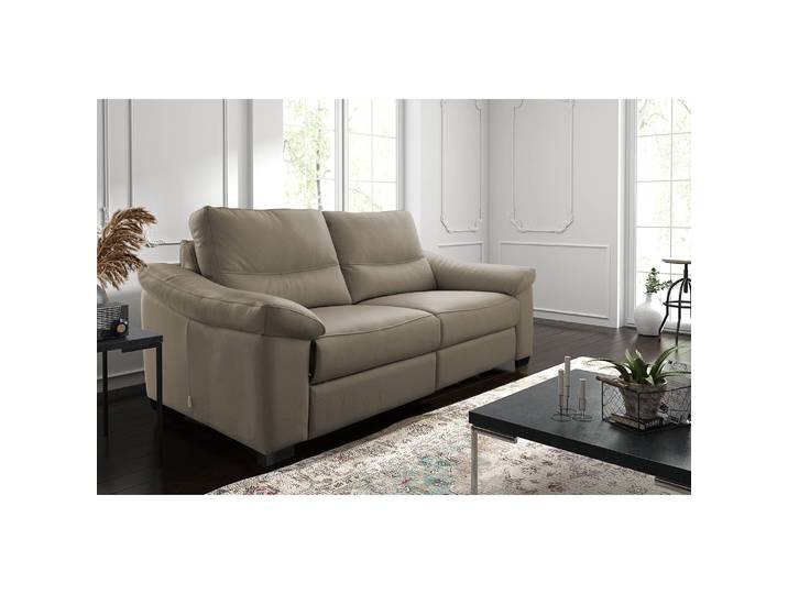 Sofa Lamexa I 2 -Sitzer Grau/Taupe Bezug: Echtleder Füße: Massivholz Buche 175 x 95 x 98cm Keine Funktion Modern
