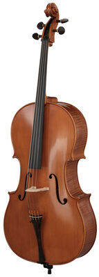 Rainer W. Leonhardt No. 300 Master Cello 4/4