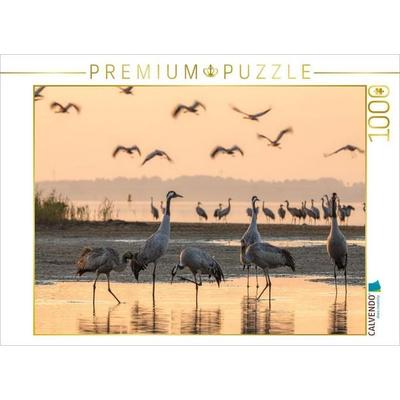 CALVENDO Puzzle Im Wasser stehende Kraniche am Schlafplatz | 1000 Teile Lege-Größe 64 × 48 cm Foto-Puzzle für glückliche Stunden