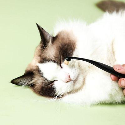Inspired Deals Pet Tear Stain Brush Soft Dog Eye Cleaning Brush For Cats And Dogs Pet Tear Stain Brush Soft Dog Eye Cleaning Brush For Cats And Dogs